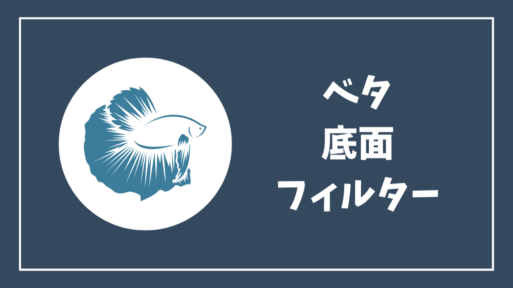 ベタおすすめ底面フィルター