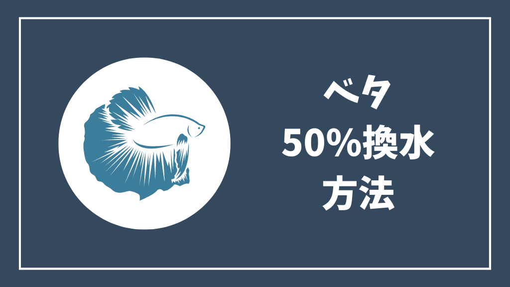 ベタの50%換水の方法