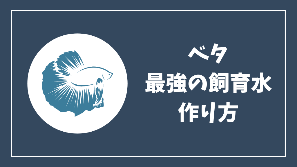 ベタ最強の飼育水の作り方