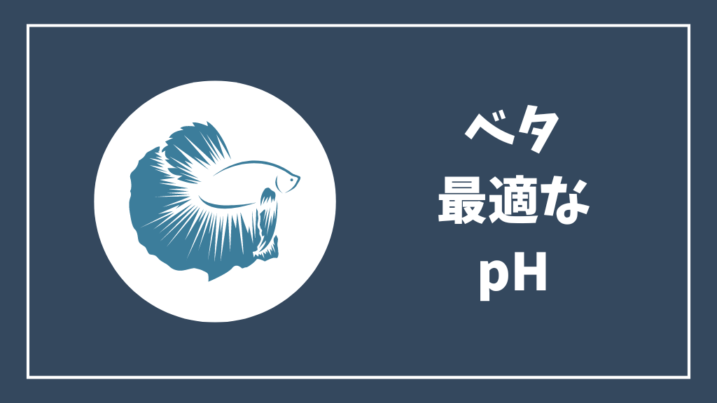 ベタに最適なpH