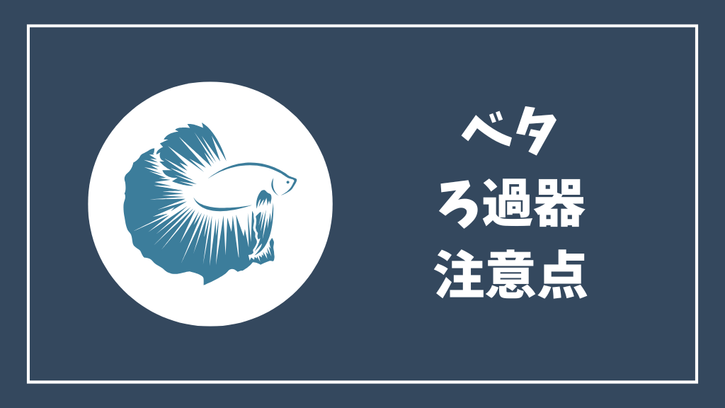 ベタ飼育にろ過フィルターを使う時の注意点