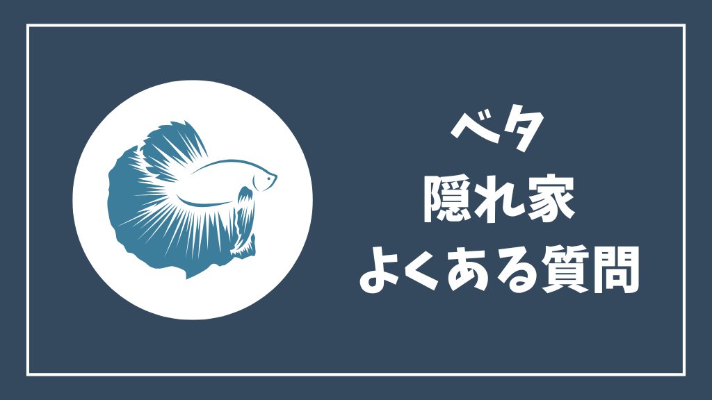 ベタの隠れ家のよくある質問