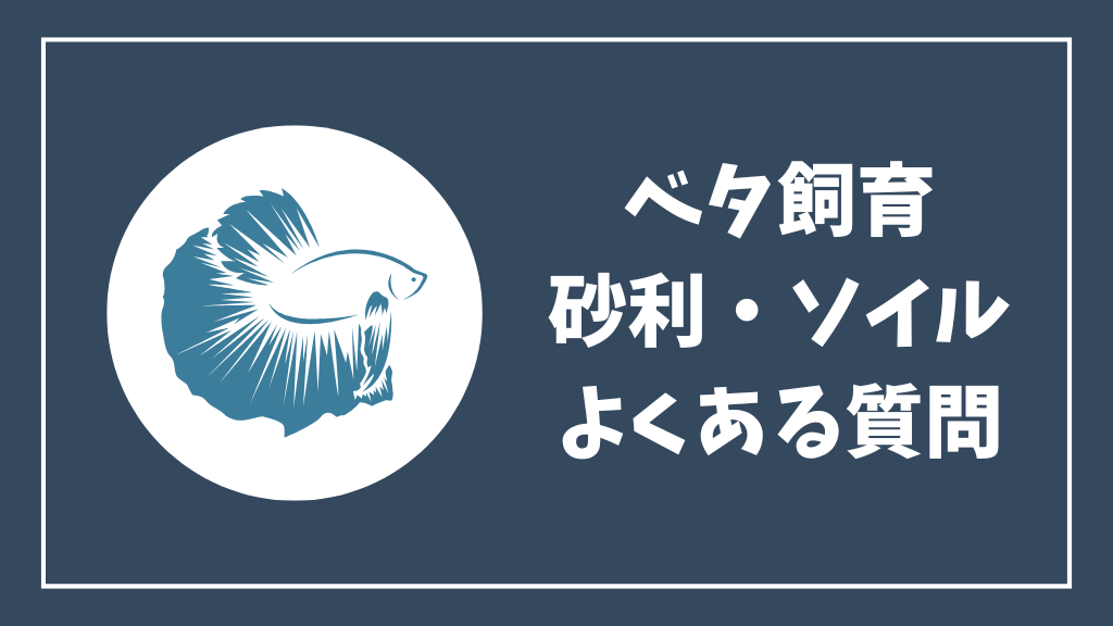 ベタ飼育の砂利・ソイルのよくある質問