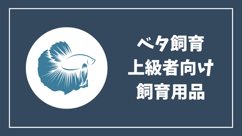 ベタ飼育上級者向けの飼育用品