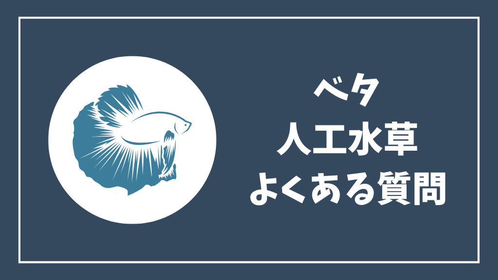 ベタの人工水草のよくある質問