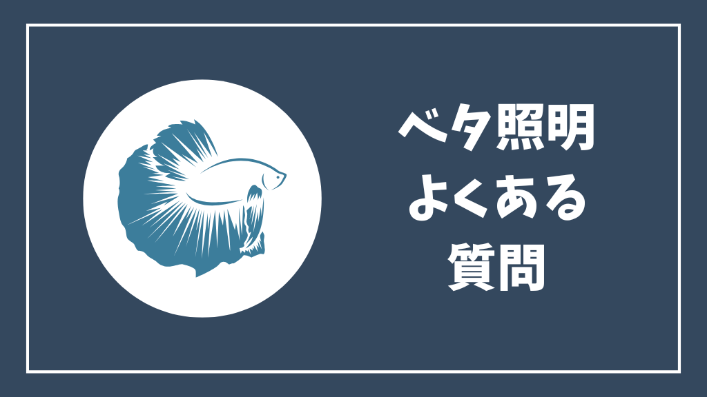 ベタの照明のよくある質問