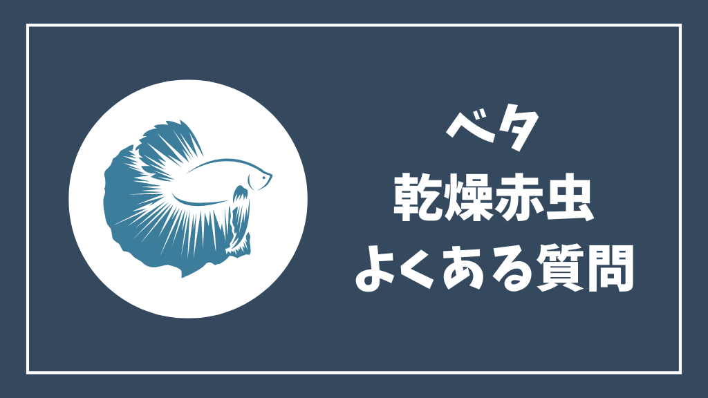 ベタの乾燥赤虫のよくある質問