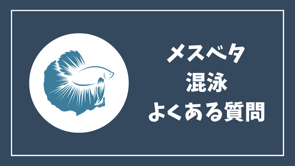 メスベタの混泳のよくある質問