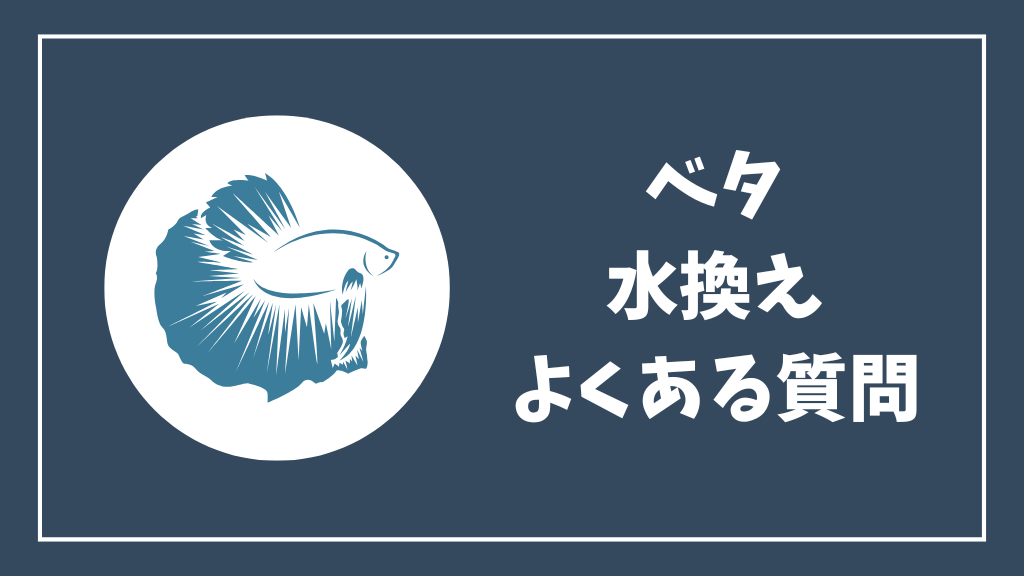 ベタの水換えのよくある質問