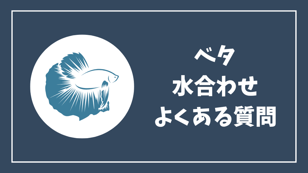 ベタの水合わせのよくある質問