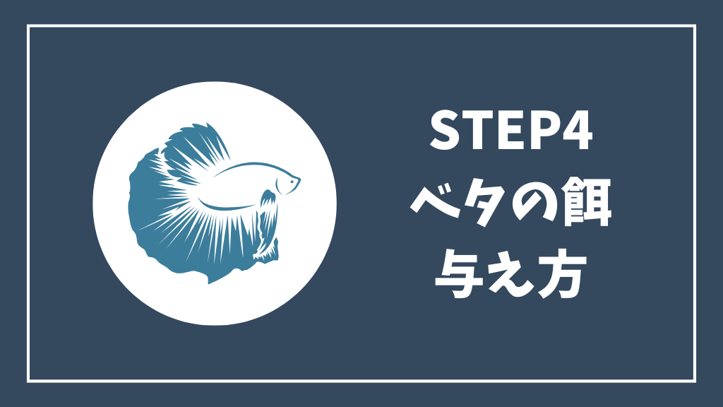 ベタの餌の与え方