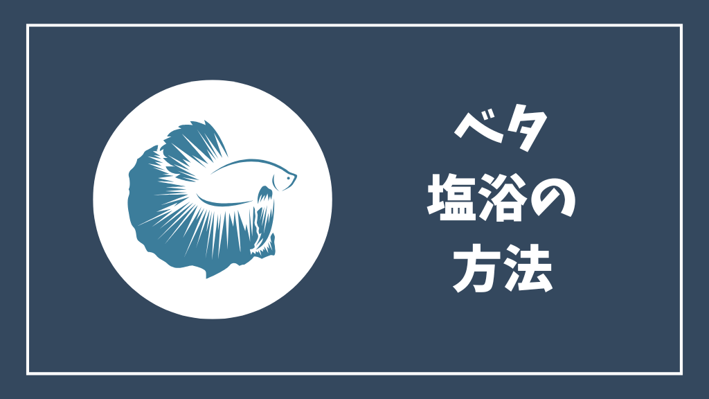 ベタの塩浴の方法