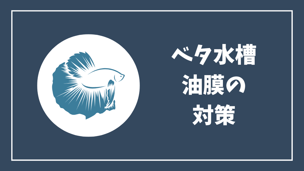 ベタ水槽の油膜の対策