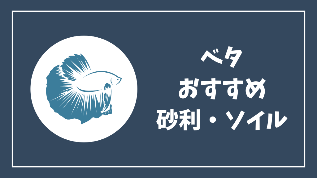 ベタにおすすめの砂利・ソイル