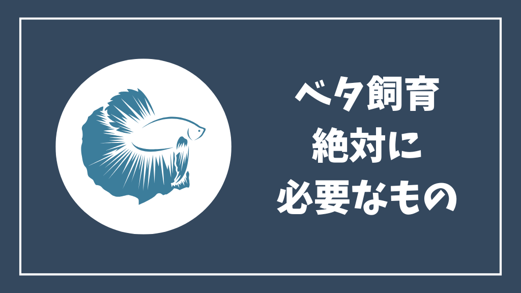 ベタ飼育に絶対に必要なもの