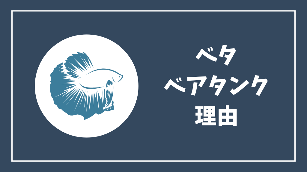 ベタ飼育にベアタンクがおすすめな理由