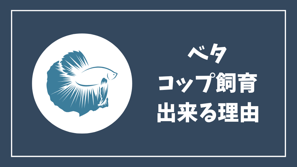 ベタをコップで飼育できる理由