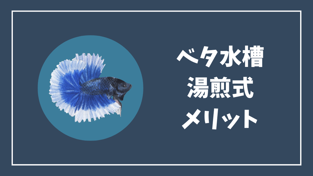 ベタ水槽の湯煎式のメリット