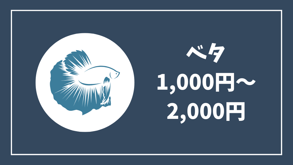 ベタ1000円～2000円