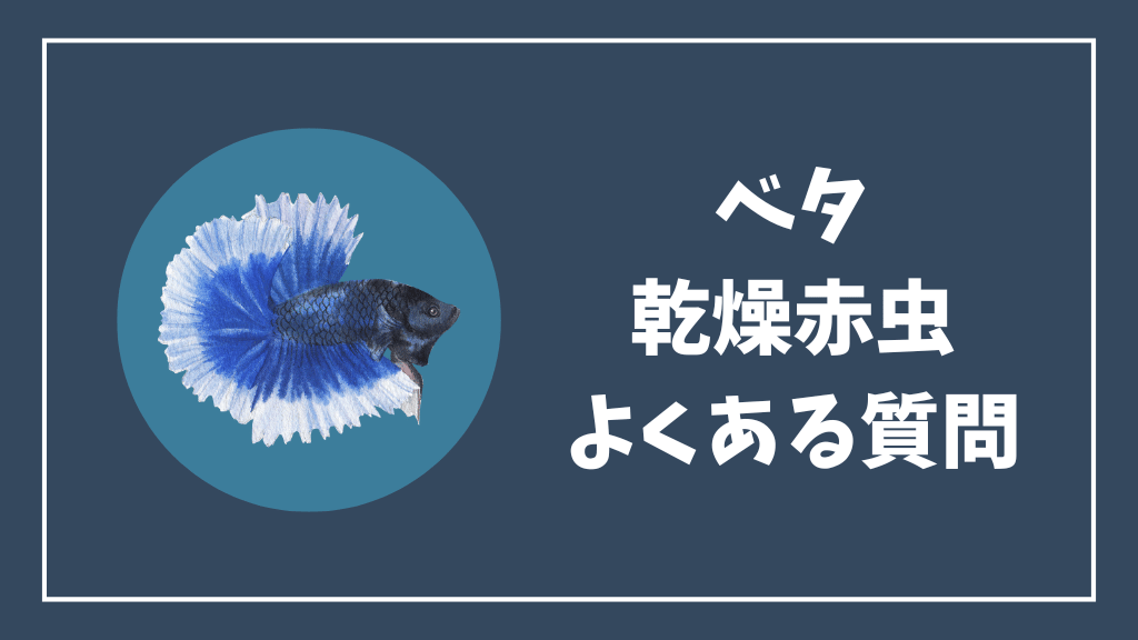 ベタの乾燥赤虫のよくある質問