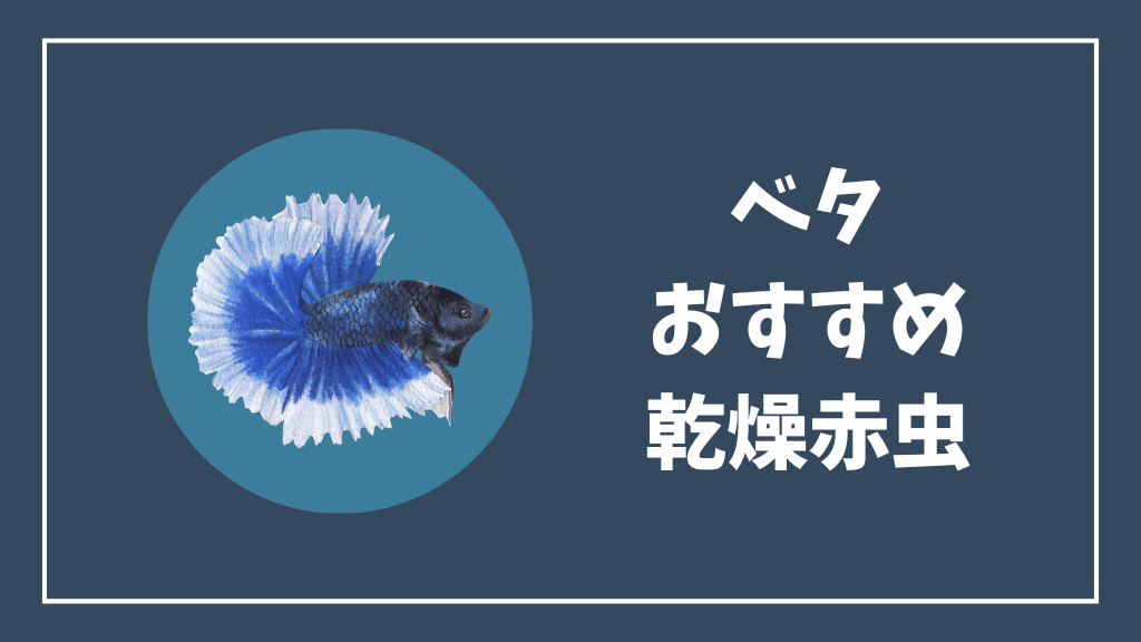 ベタにおすすめの乾燥赤虫