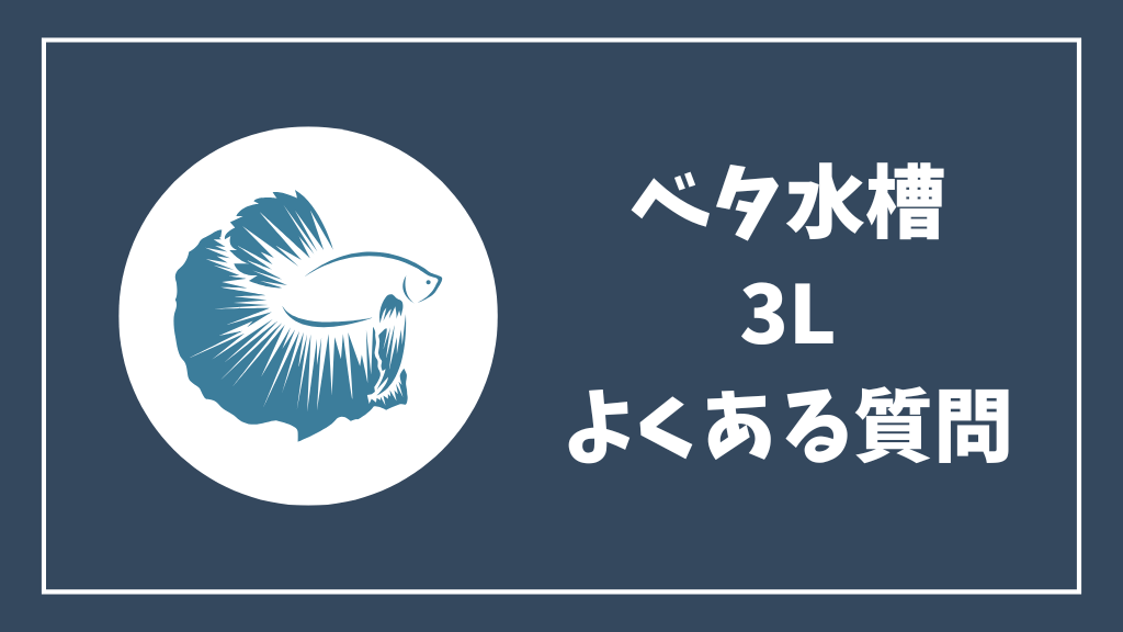 ベタ3リットル水槽のよくある質問