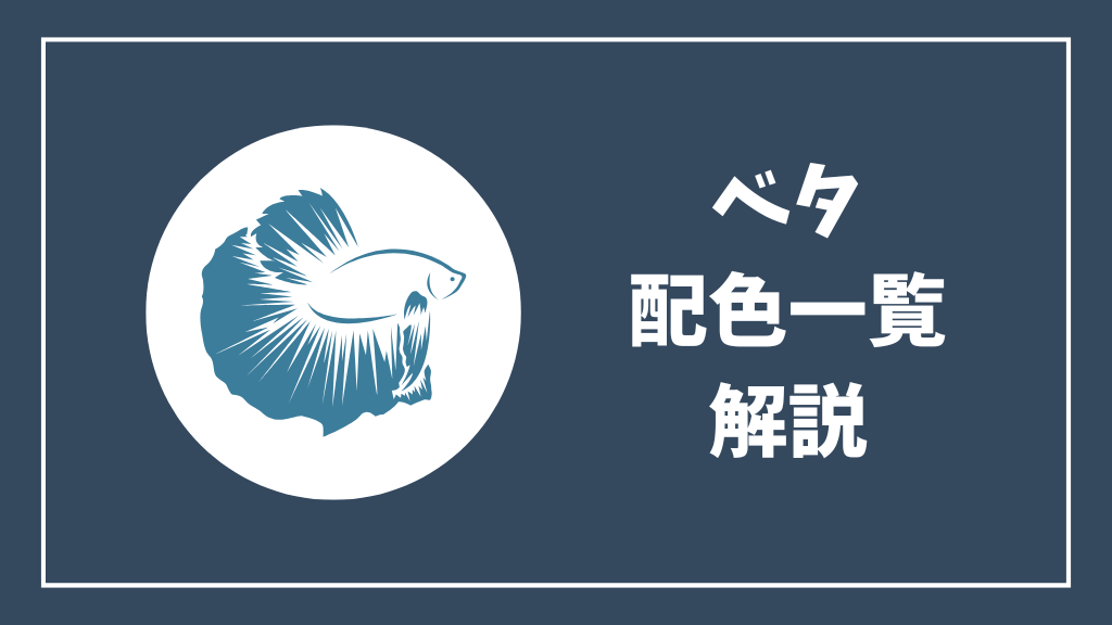 ベタ配色一覧解説