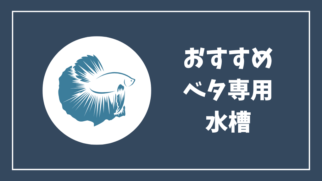 おすすめベタ専用水槽