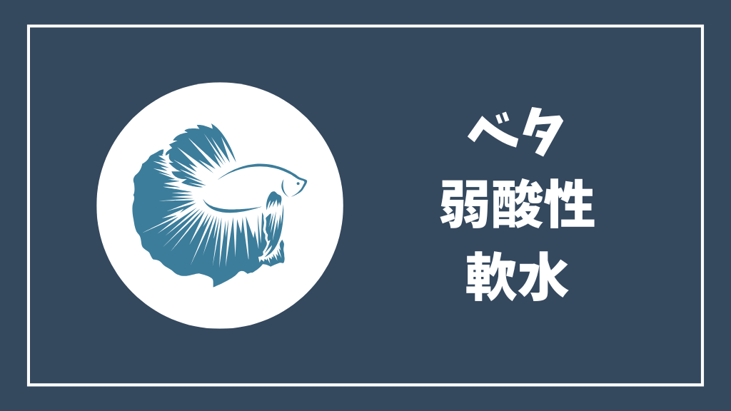 ベタの水質は弱酸性・軟水