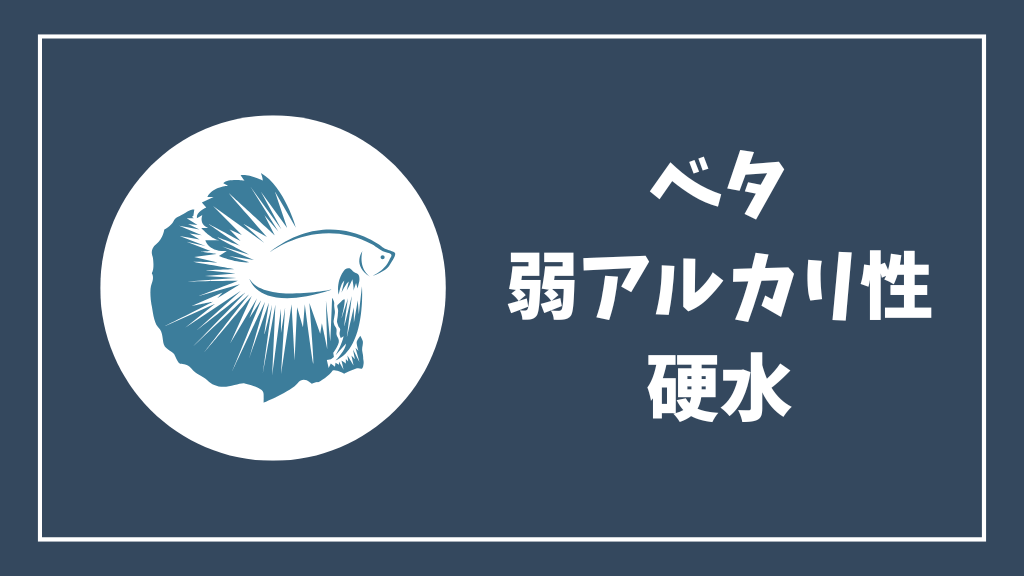 ベタの水質は弱アルカリ性・硬水