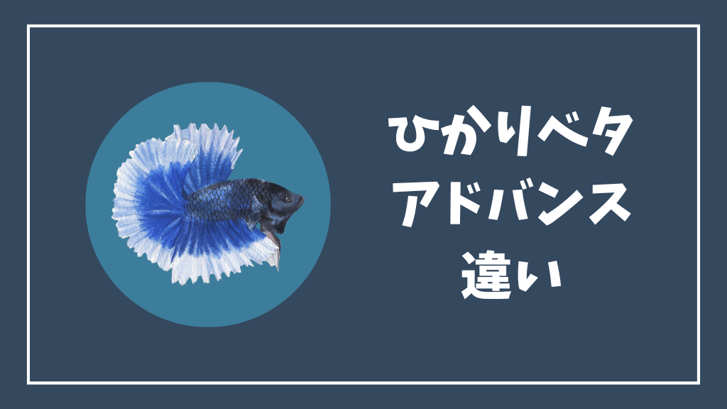 ひかりベタとひかりベタアドバンスの違い