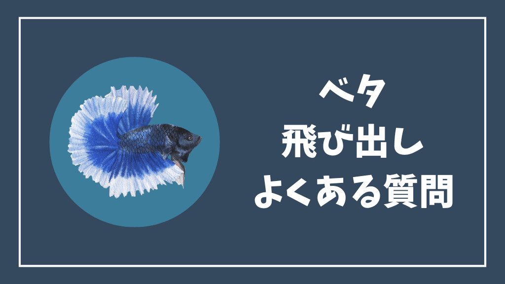 ベタの飛び出しのよくある質問