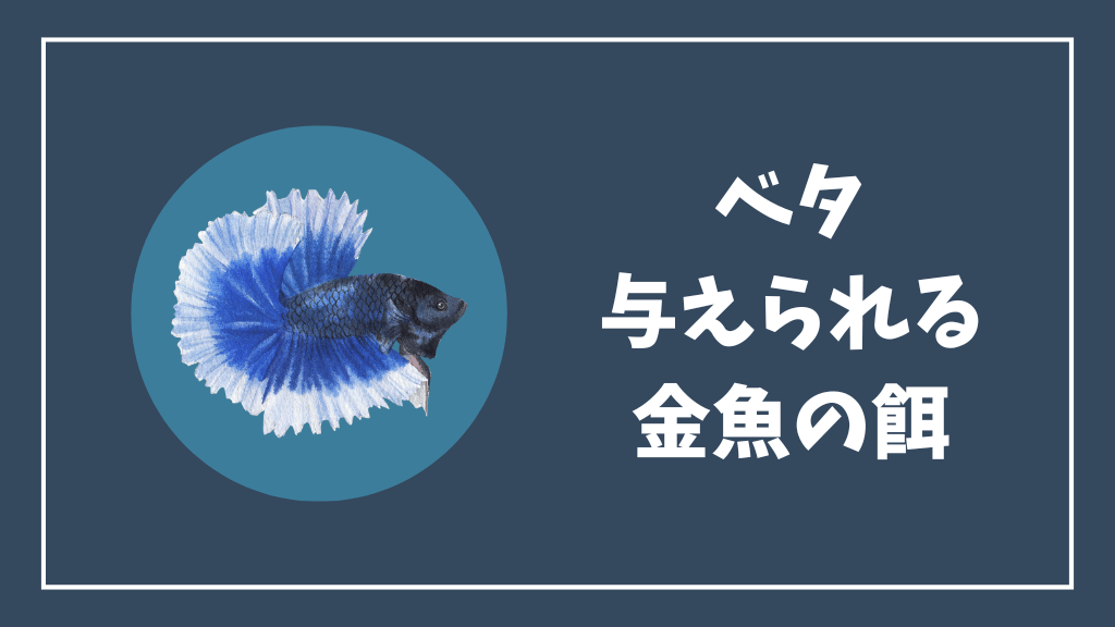 ベタに与えられる金魚の餌
