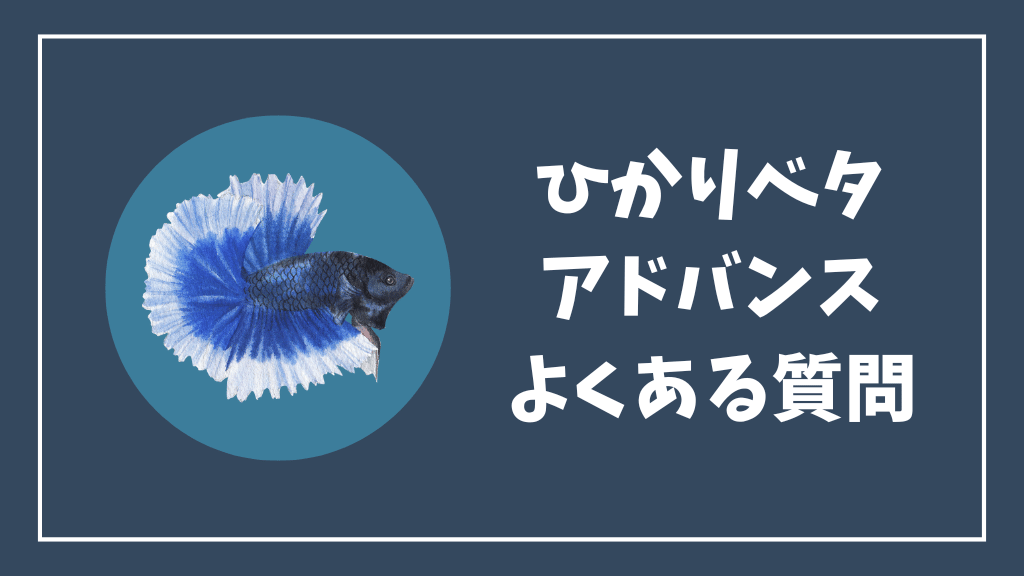 ひかりベタとひかりベタアドバンスのよくある質問
