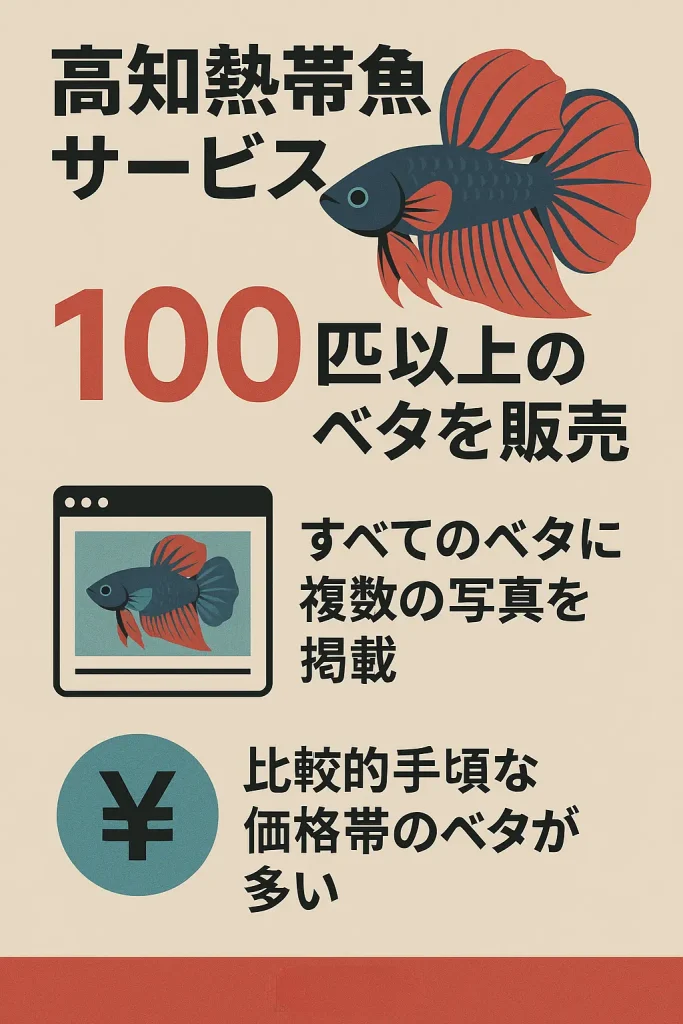 高知熱帯魚サービスインフォグラフィック