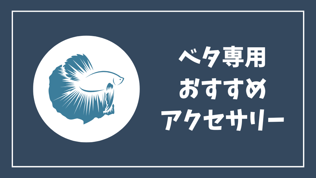 ベタ専用おすすめアクセサリー