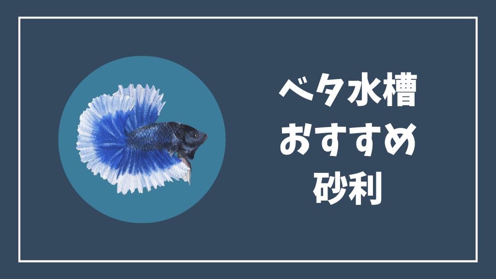 ベタ水槽におすすめの砂利