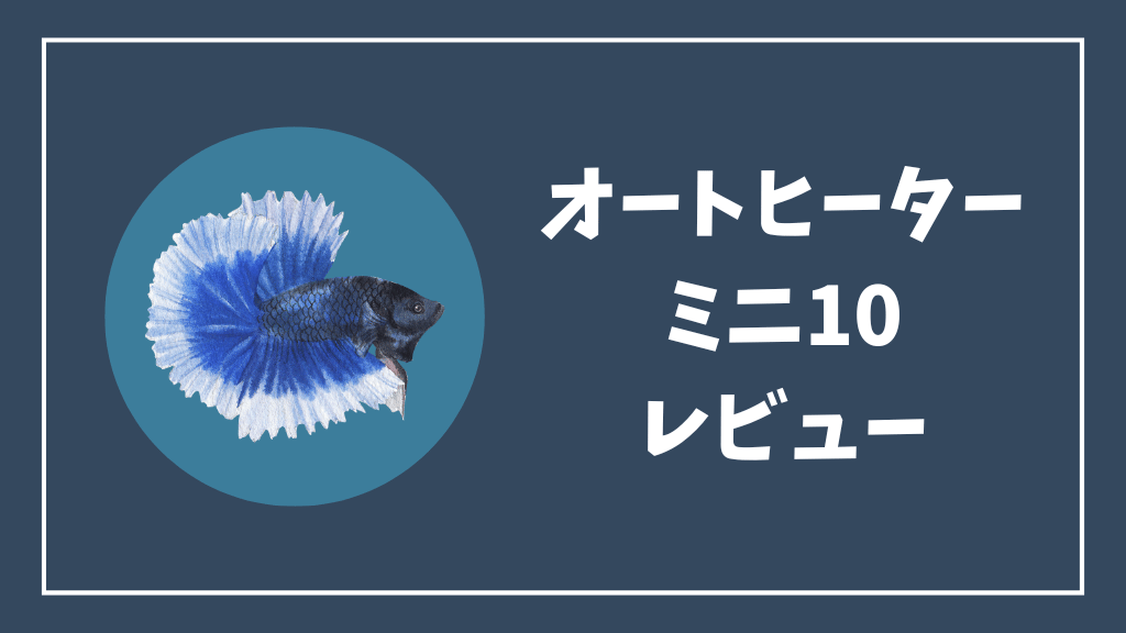 徹底比較！ベタのおすすめヒーターランキング7選！ | ベタ飼育ガイド