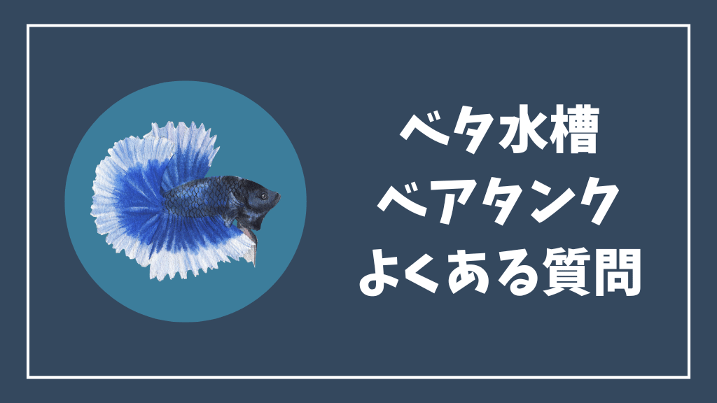 ベタ水槽のベアタンクのよくある質問