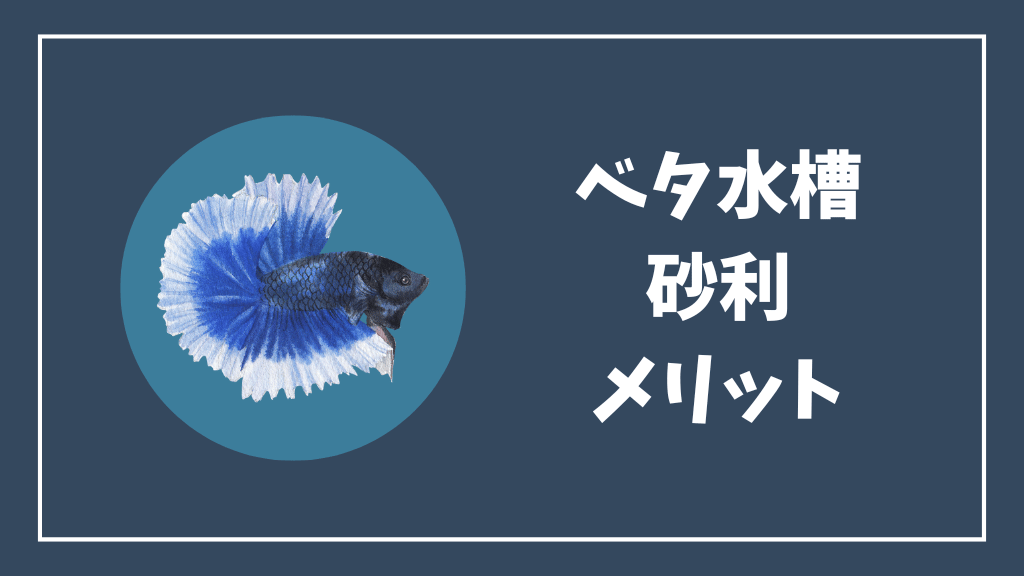 ベタ水槽の砂利のメリット