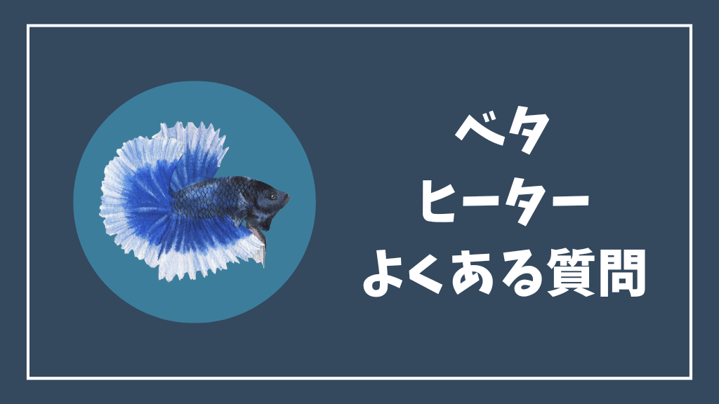 ベタのヒーターのよくある質問