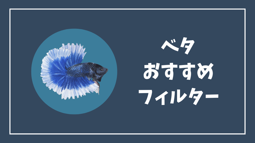 ベタおすすめフィルター