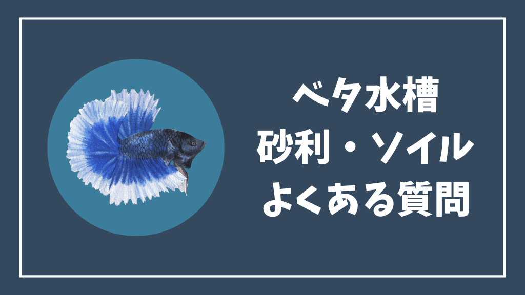 ベタ水槽の砂利・ソイルのよくある質問