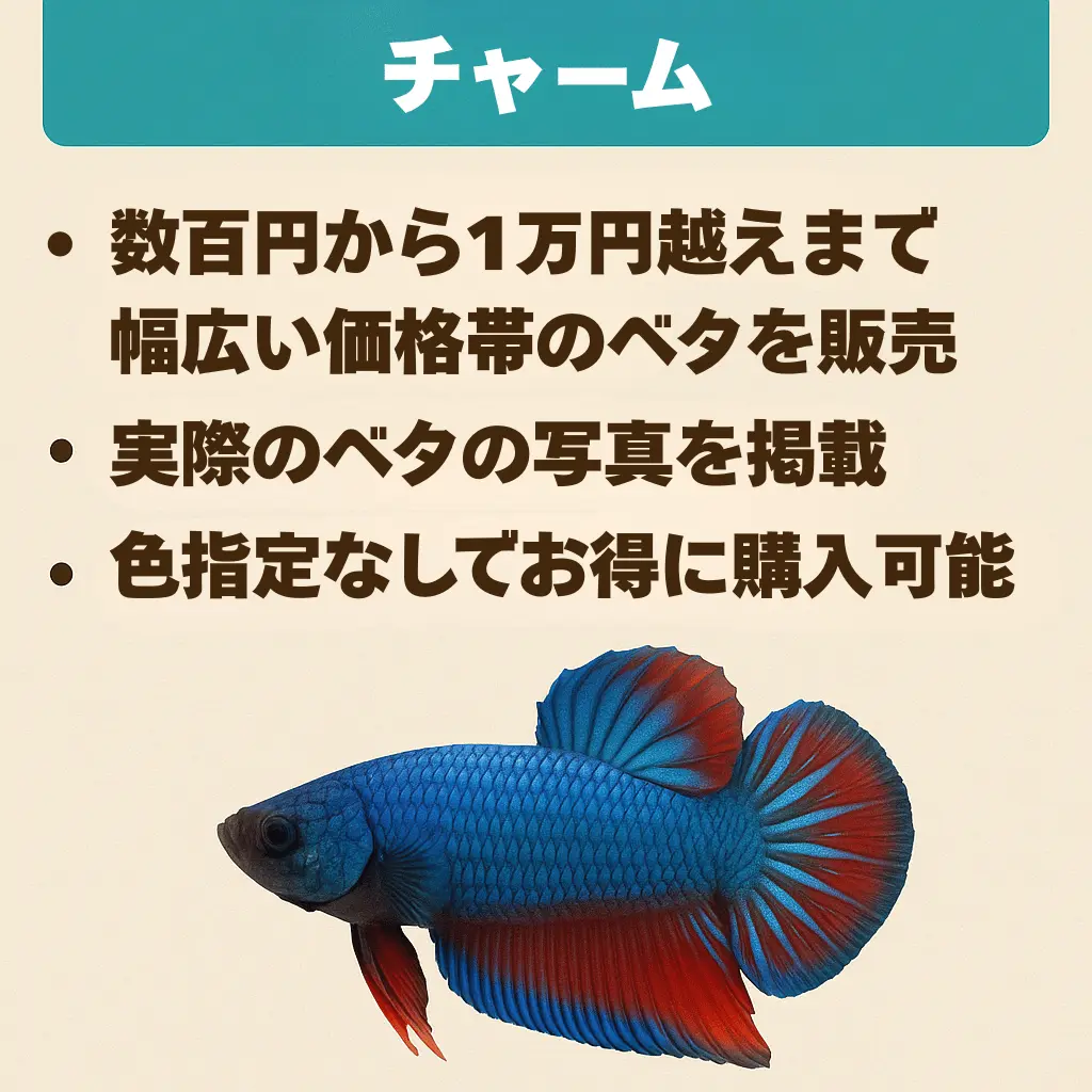チャームインフォグラフィック