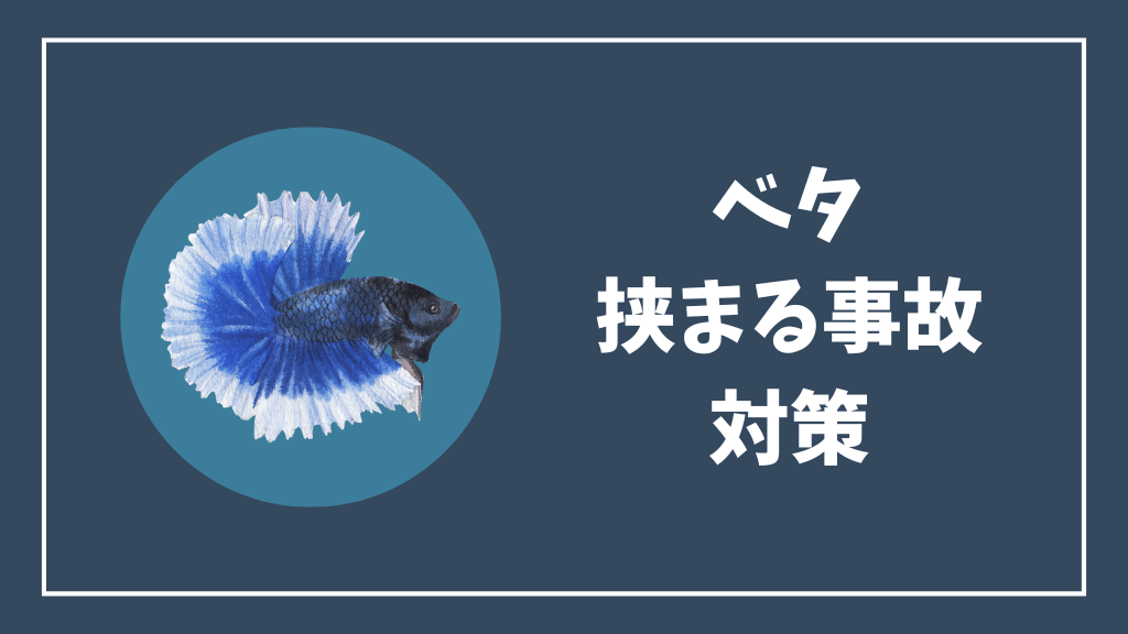 ベタが挟まる事故の対策