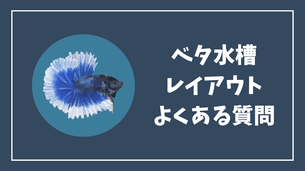 ベタ水槽のレイアウトのよくある質問