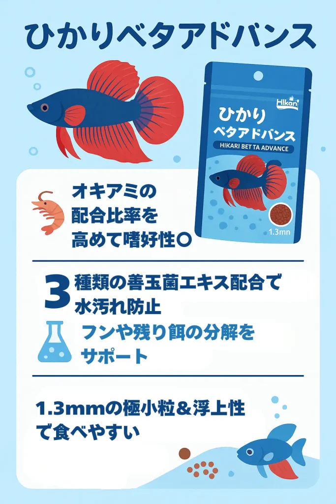 ひかりベタアドバンスインフォグラフィック