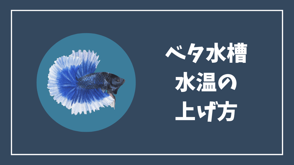 ベタ水槽の水温の上げ方