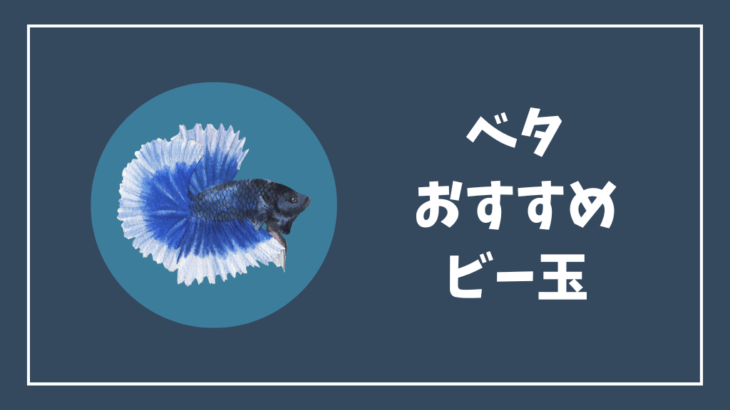 ベタにおすすめのビー玉