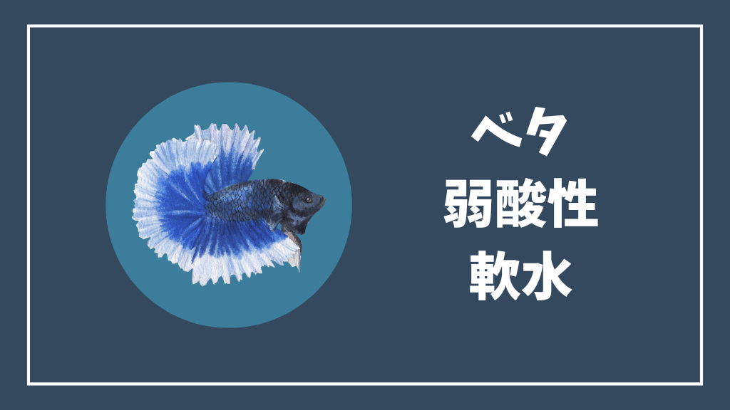 ベタに適しているのは弱酸性の軟水